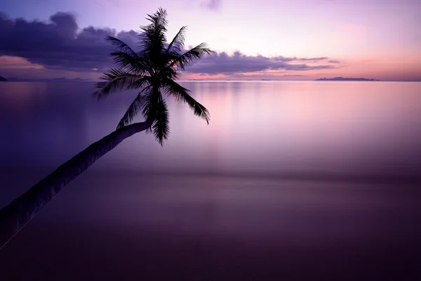 Strand vid solnedgången — Stockfoto