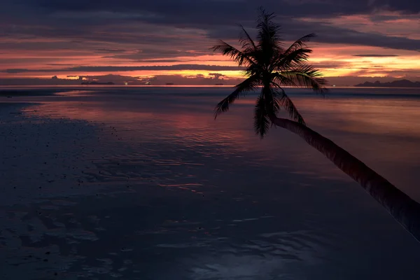 Strand vid solnedgången — Stockfoto