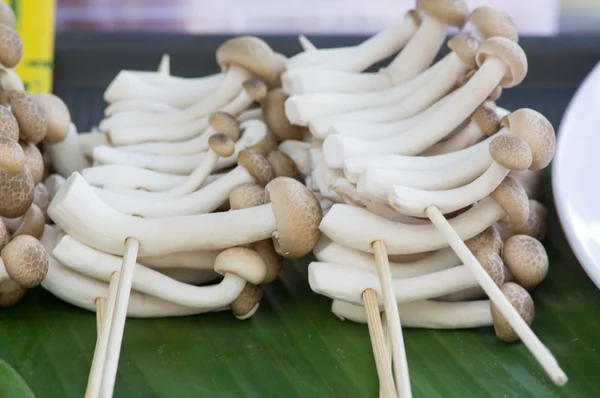 바베 큐에 대 한 버섯 — 스톡 사진