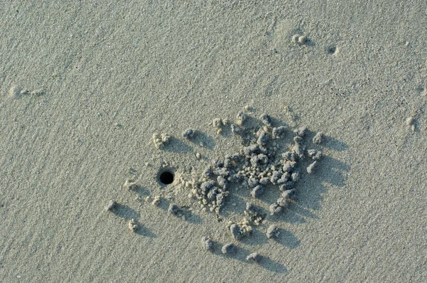 Hole in the sand — Stock Photo, Image