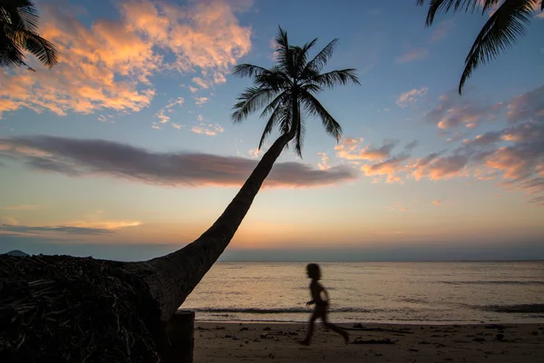 Silhouette e palmo sulla spiaggia — Foto Stock