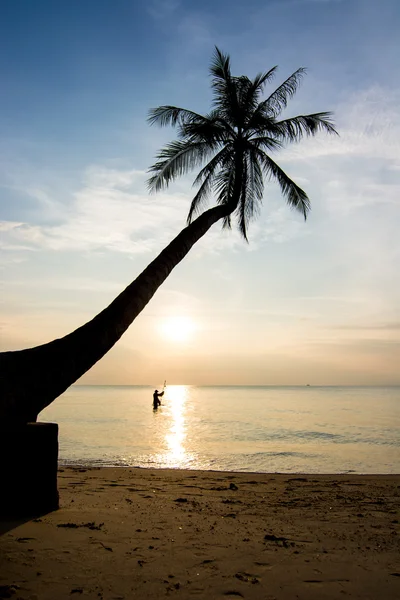 Silhouetten leven bij zonsondergang — Stockfoto