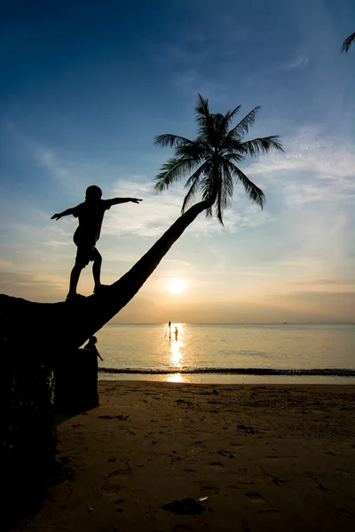 Siluetas vida al atardecer — Foto de Stock