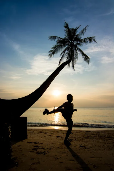 Silhouetten leven bij zonsondergang — Stockfoto