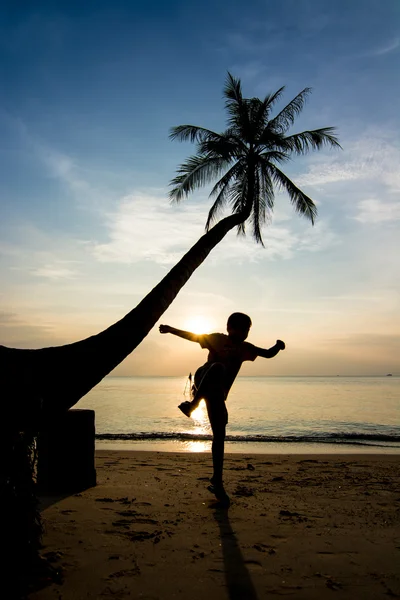 Silhouetten Leben bei Sonnenuntergang — Stockfoto