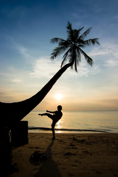 Silhouette vita al tramonto — Foto Stock