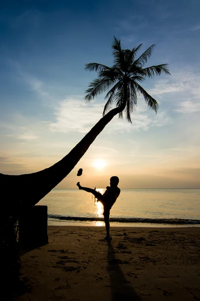 Silhouetten leven bij zonsondergang — Stockfoto