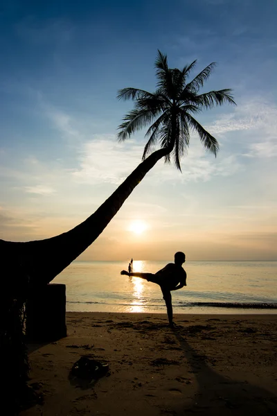 Siluetas vida al atardecer —  Fotos de Stock