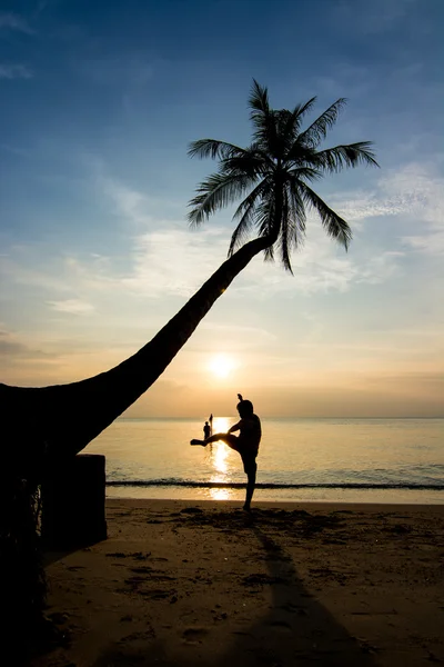 Siluetas vida al atardecer — Foto de Stock