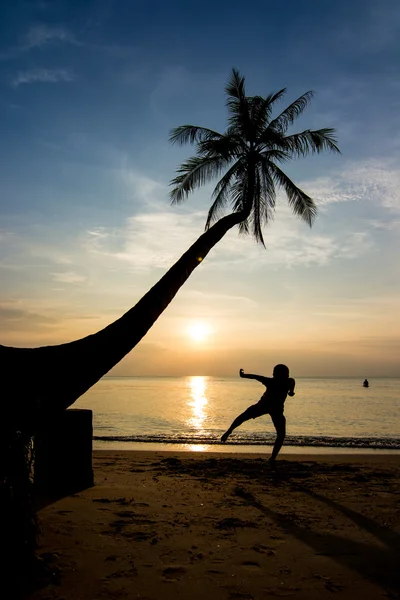 Siluetas vida al atardecer —  Fotos de Stock