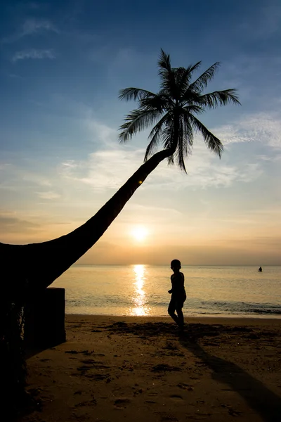 Silhouetten Leben bei Sonnenuntergang — Stockfoto