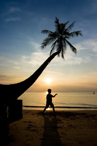 Silhouetten leven bij zonsondergang — Stockfoto