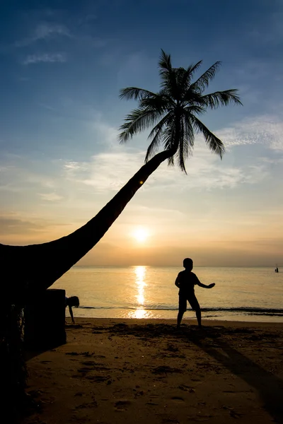 Silhouetten leven bij zonsondergang — Stockfoto