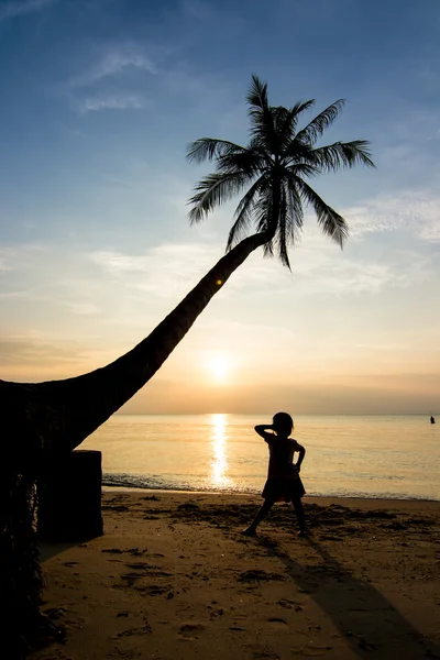 Siluetas vida al atardecer — Foto de Stock