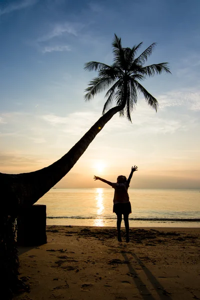 Silhouetten Leben bei Sonnenuntergang — Stockfoto