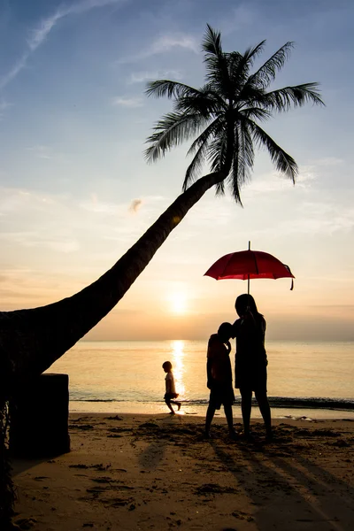 Siluetas vida al atardecer — Foto de Stock