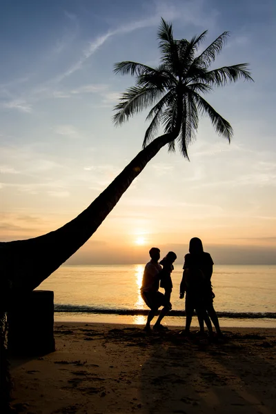 Silhuetas vida ao pôr do sol — Fotografia de Stock