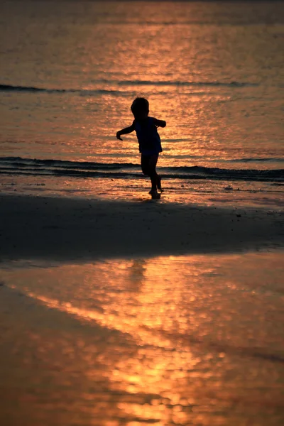 Vida al atardecer —  Fotos de Stock