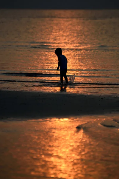 Vida al atardecer —  Fotos de Stock