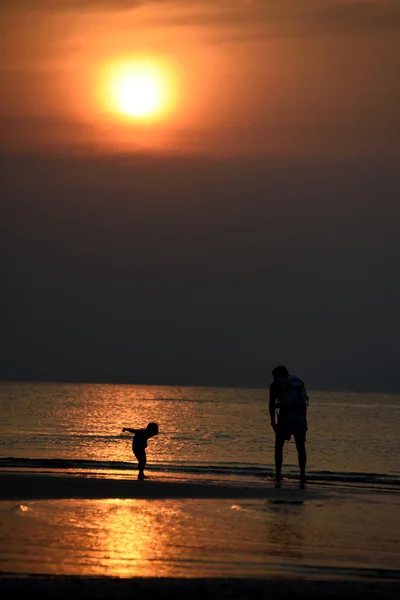 Vita al tramonto — Foto Stock