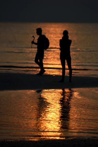 Vida al atardecer —  Fotos de Stock