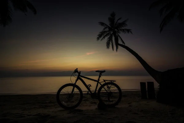 海滩上的自行车 — 图库照片
