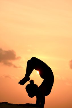 profesyonel yoga kadın