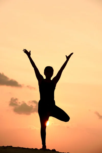 Donna yoga professionale — Foto Stock