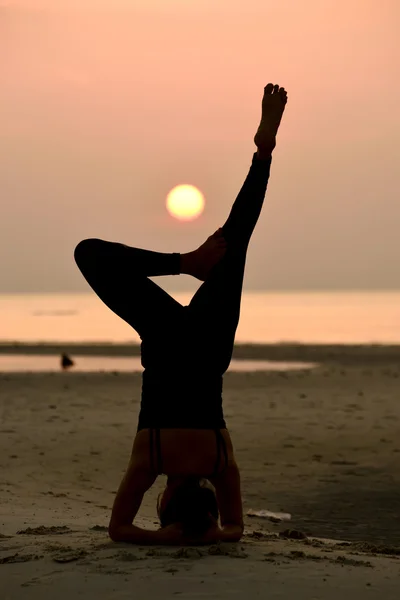 Professionell yoga kvinnan — Stockfoto