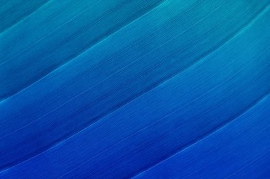 muz yaprağı arka plan