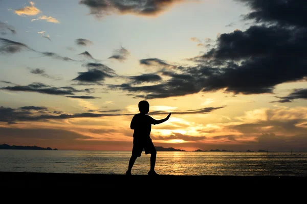 Silueta de niño haciendo arte marcial —  Fotos de Stock