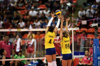 Kadınlar Voleybol Dünya Grand Prix