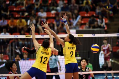 Kadınlar Voleybol Dünya Grand Prix