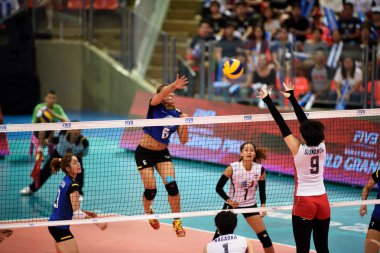Kadınlar Voleybol Dünya Grand Prix