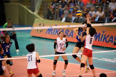 Kadınlar Voleybol Dünya Grand Prix