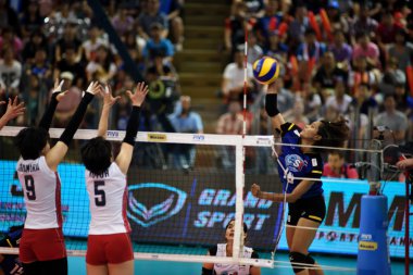 Kadınlar Voleybol Dünya Grand Prix