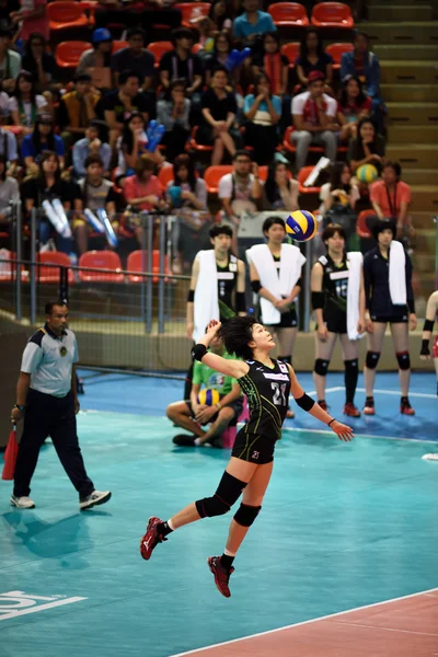 Frauen-Volleyball-WM — Stockfoto