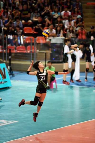 Frauen-Volleyball-WM — Stockfoto