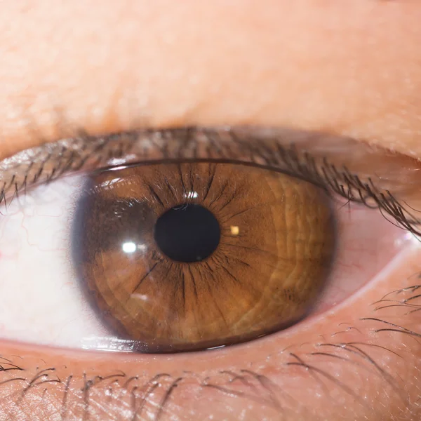 Znamiona tęczówki oka test — Zdjęcie stockowe