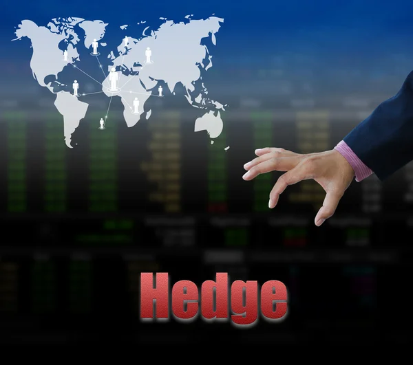 Hedge teken, bedrijfsconcept — Stockfoto