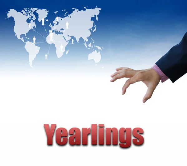 Yearlings sign, business concept — Stock Photo, Image