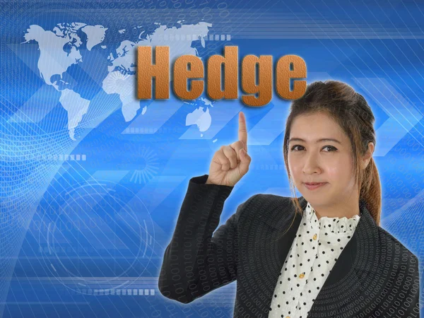 Hedge sign, business concept — Stock Photo, Image