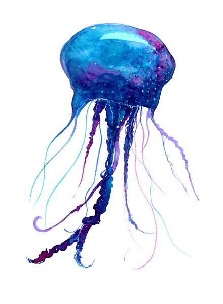 ภาพประกอบสีน้ําแมงกะพรุน ภาพวาด Medusa ที่แยกจากพื้นหลังสีขาวการออกแบบรอยสักที่มีสีสัน — ภาพถ่ายสต็อก