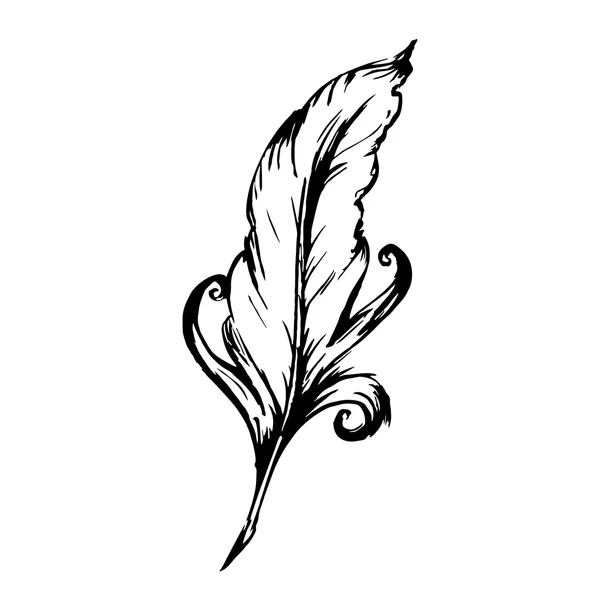 Pluma de ave dibujada a mano — Vector de stock