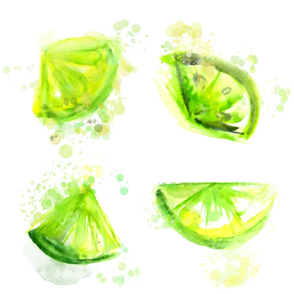Four slices of green limes. Watercolor illustration, vector image. - Stok Vektor