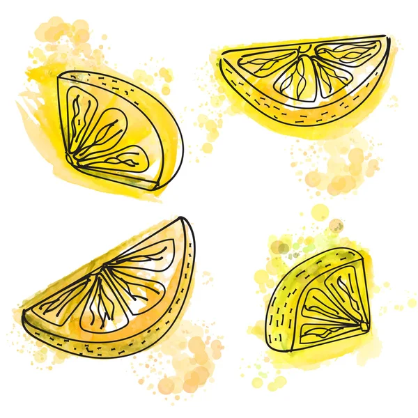 Hand drawn slices of lemon with juicy yellow paint splashes. Vector illustration. — Stock Vector