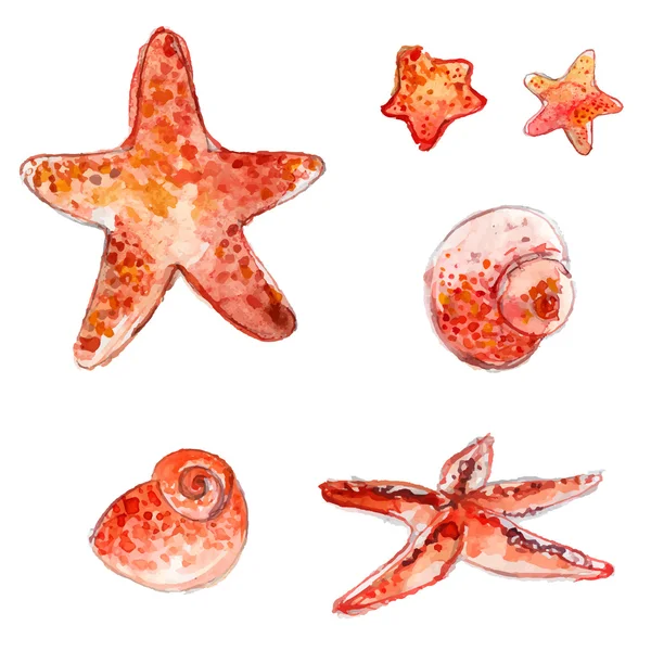 Sada ručně kreslenou akvarel starfishes a mušlemi. Umělecké vektorové ilustrace izolované na bílém pozadí. — Stockový vektor