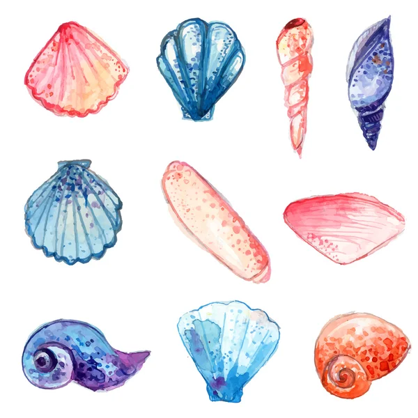 Jeu de main dessinée aquarelle de coquillages. Illustrations vectorielles coloré isolées sur fond blanc. — Image vectorielle