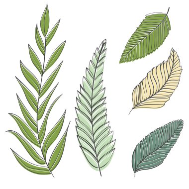 Dalları ve yaprakları, modern vektör Stil kümesi elle çizilmiş. Süslü bahar grafik düğün davetiyeleri, tebrik kartları, afiş ve diğer yaratıcı tasarım için ayarla