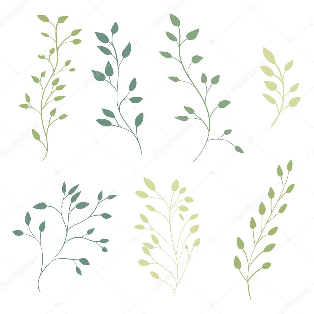 Hand drawn ornate branches with leaves. Vector decorative elements for nature inspired design of wedding invitations, natural products, greeting cards.